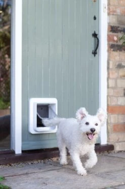 SureFlap Microchip Dualscan - Kattenluik - M - 14 X 12 Cm -Winkel Voor Kattenbenodigdheden 800x1200 9