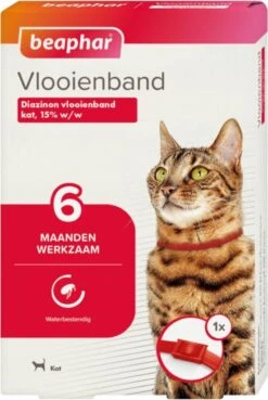 Beaphar Vlooienband Kat - Rood - 1 Stuk -Winkel Voor Kattenbenodigdheden 804x1200 1