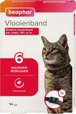 Beaphar Vlooienband Kat - Vlooienbestrijding - Zwart 15 Beaphar Vlooienband Kat - Vlooienbestrijding - Zwart -Winkel Voor Kattenbenodigdheden 804x1200