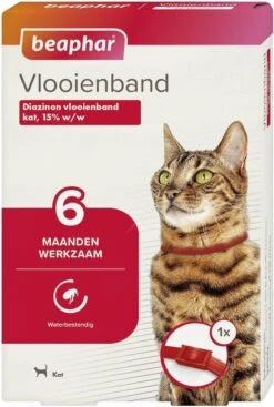 Beaphar Vlooienband Kat - Rood - 1 Stuk -Winkel Voor Kattenbenodigdheden 807x1200 1