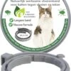 Teken- En Vlooienband Voor Katten PLUS - Natuurlijk Middel Tegen Vlooien En Teken - 100% Natuurlijk - 38,5 CM - Tot 8 Maand Werkzaam - Biologisch -Winkel Voor Kattenbenodigdheden 819x1200