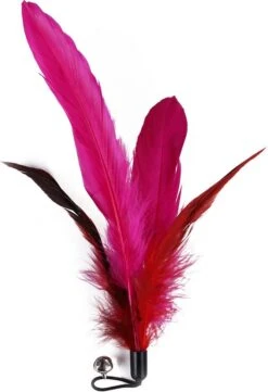 Merkloos Kattenhengel Met 10 Opzetstukjes - Kat Speelhengel Met Veren - Speelgoed Hengel Voor Katten – Kittenspeeltjes Met Veer – Kattenspeelgoed – Katten Speeltjes 9 Merkloos Kattenhengel Met 10 Opzetstukjes - Kat Speelhengel Met Veren - Speelgoed Hengel Voor Katten – Kittenspeeltjes Met Veer – Kattenspeelgoed – Katten Speeltjes -Winkel Voor Kattenbenodigdheden 822x1200 3