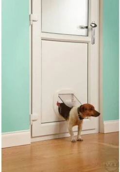 Petsafe Kattenluik - Grote Kat - Transparant 27 Petsafe Kattenluik - Grote Kat - Transparant -Winkel Voor Kattenbenodigdheden 832x1200 1