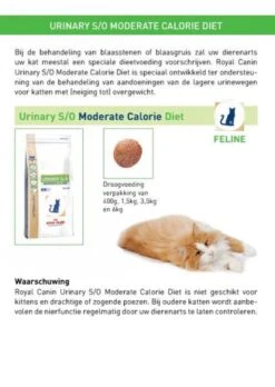 Royal Canin Urinary S/O Moderate Calorie - Kattenvoer - 9 Kg -Winkel Voor Kattenbenodigdheden 852x1200 2
