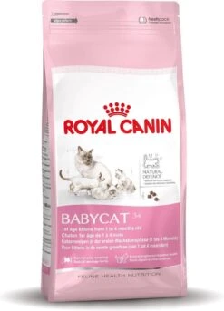 Royal Canin Mother & Babycat - Kattenvoer - 4 Kg -Winkel Voor Kattenbenodigdheden 865x1200