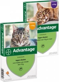 Bayer Anti Vlooienmiddel Advantage 80 > 4 Kg - 4 X 0,8 Ml -Winkel Voor Kattenbenodigdheden 866x1200 1