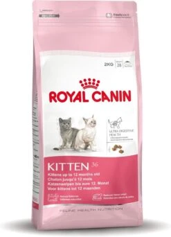 Royal Canin Kitten - Kittenvoer - 4 Kg 30 Royal Canin Kitten - Kittenvoer - 4 Kg -Winkel Voor Kattenbenodigdheden 867x1200