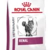 Royal Canin Renal - Kattenvoer - 4 Kg -Winkel Voor Kattenbenodigdheden 886x1200