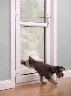 Petsafe Kattenluik - Grote Kat - Transparant 20 Petsafe Kattenluik - Grote Kat - Transparant -Winkel Voor Kattenbenodigdheden 893x1200 4