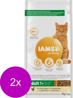 Iams Cat Adult Kip - Kattenvoer - 2 X 3 Kg -Winkel Voor Kattenbenodigdheden 895x1200 2