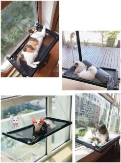 Kattenhangmat - Hangmat Kat- Kattenhangmat Raam – Kattenbed - Kattenhangmand - Kattenkussen 28 Kattenhangmat - Hangmat Kat- Kattenhangmat Raam – Kattenbed - Kattenhangmand - Kattenkussen -Winkel Voor Kattenbenodigdheden 896x1200 1