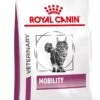 Royal Canin Mobility - Kattenvoer - 2 Kg 2 Royal Canin Mobility - Kattenvoer - 2 Kg -Winkel Voor Kattenbenodigdheden 897x1200