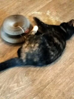 Kattenspeelgoed - Ronde, Opvouwbare En Vervormbare Krabmat Voor Katten Met Bal Met Belletjes Van Golfkartonpapier - Interactief Krabspeelgoed Voor Katten -Winkel Voor Kattenbenodigdheden 900x1200 42