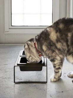 Yamazaki Eetbak - Voederbak Kat - Tweeledig - Zwart -Winkel Voor Kattenbenodigdheden 901x1200 1