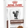 Royal Canin Gastro Intestinal Moderate Calorie Kat 12x85 Gr. -Winkel Voor Kattenbenodigdheden 903x1200
