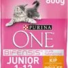 Purina ONE Junior - Kip/Granen - Kattenvoer - 800 G -Winkel Voor Kattenbenodigdheden 925x1200
