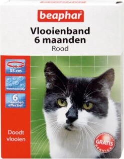 Beaphar Vlooienband Kat - Rood - 1 Stuk -Winkel Voor Kattenbenodigdheden 934x1200