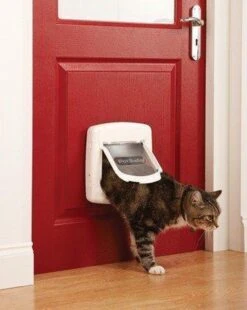 Petsafe Kattenluik 400 - Wit 32 Petsafe Kattenluik 400 - Wit -Winkel Voor Kattenbenodigdheden 955x1200