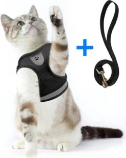Ease Store Kattentuigje – Maat S – Met Looplijn – Kittentuigje – Dierentuigje – Hondentuigje – Reflecterend – Zwart -Winkel Voor Kattenbenodigdheden 960x1200 1
