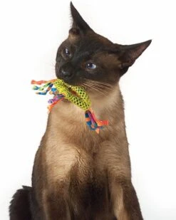 Petstages Dental Health Chew Kattenspeelgoed - Catnip 10 Petstages Dental Health Chew Kattenspeelgoed - Catnip -Winkel Voor Kattenbenodigdheden 960x1200 8