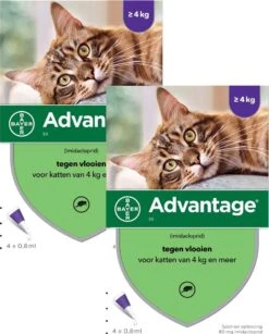 Bayer Advantage 80 Kat 4 Pip - Anti Vlooienmiddel - 2 X 0.8 Ml - > 4 Kg -Winkel Voor Kattenbenodigdheden 965x1200