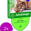 Bayer Advantage 80 Kat 4 Pip - Anti Vlooienmiddel - 2 X 0.8 Ml - > 4 Kg 1 Bayer Advantage 80 Kat 4 Pip - Anti Vlooienmiddel - 2 X 0.8 Ml - > 4 Kg -Winkel Voor Kattenbenodigdheden 968x1200