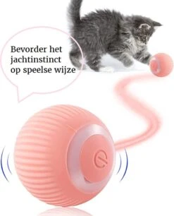 Otiume Slimme Katten Speeltje - Interactieve Zelf Rollende Bal Voor Katten - Kattenspeeltjes - USB Oplaadbaar- Turquoise 16 Otiume Slimme Katten Speeltje - Interactieve Zelf Rollende Bal Voor Katten - Kattenspeeltjes - USB Oplaadbaar- Turquoise -Winkel Voor Kattenbenodigdheden 968x1200 3