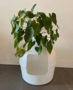 XXL Kattenbak – Verborgen Kattentoilet – Flower XXL Wit Voor Grote Katten Van RHRQuality -Winkel Voor Kattenbenodigdheden 970x1200 2