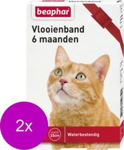 Beaphar Vlooienband 6 Maanden Kat 35 Cm - Anti Vlooienmiddel - 2 X Rood -Winkel Voor Kattenbenodigdheden 993x1200